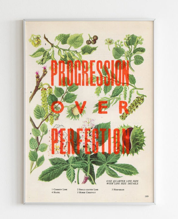 Nice and Graphic Botanical prints