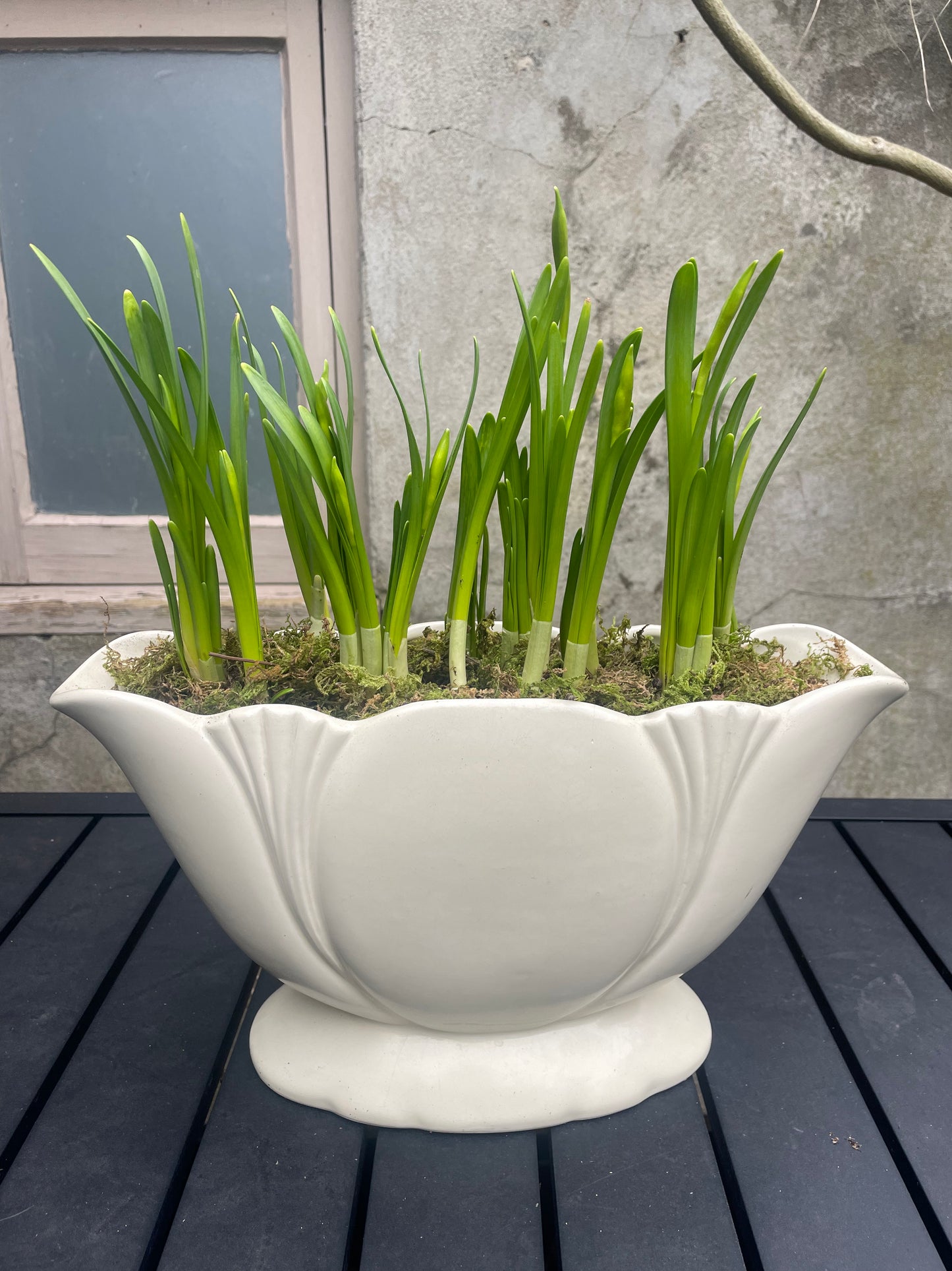 Vintage Mantle Vase Planter