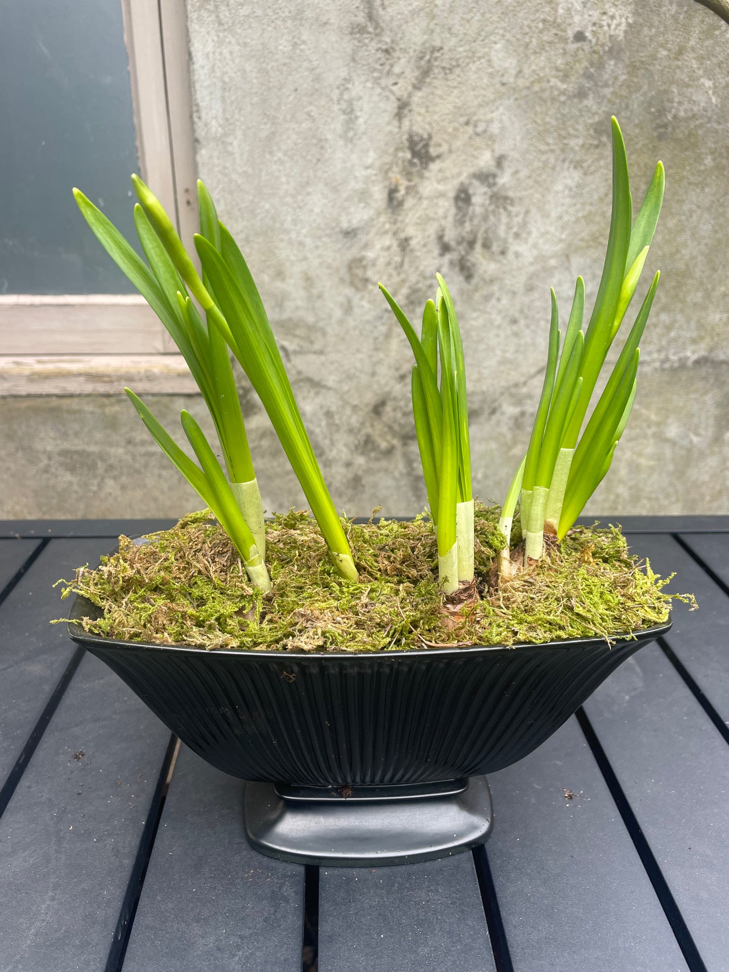 Vintage Mantle Vase Planter