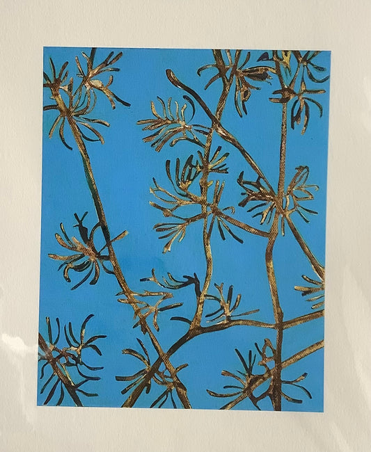 Julia Langley print Hammamelis Mollis