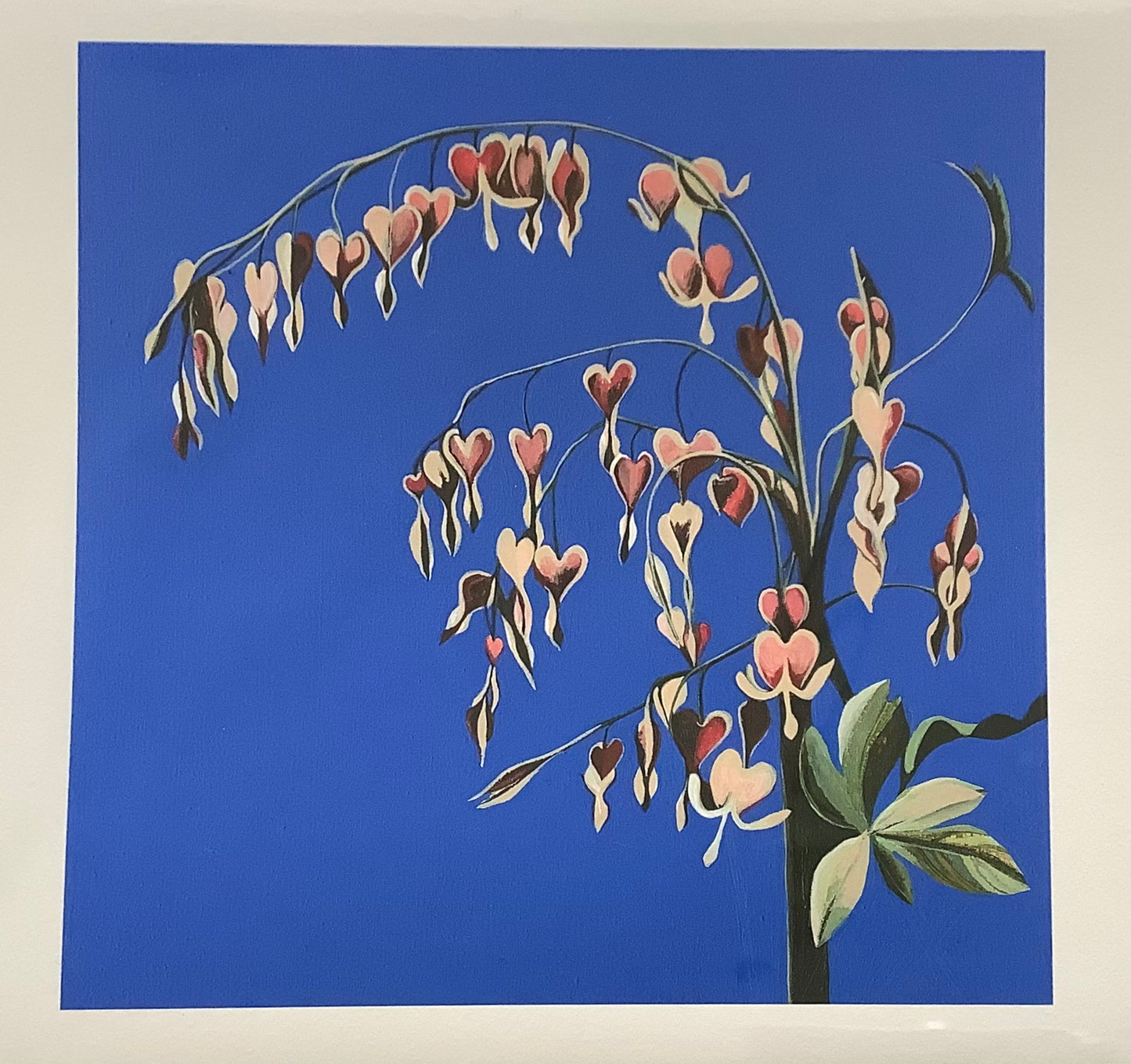 Julia Langley Print Dicentra