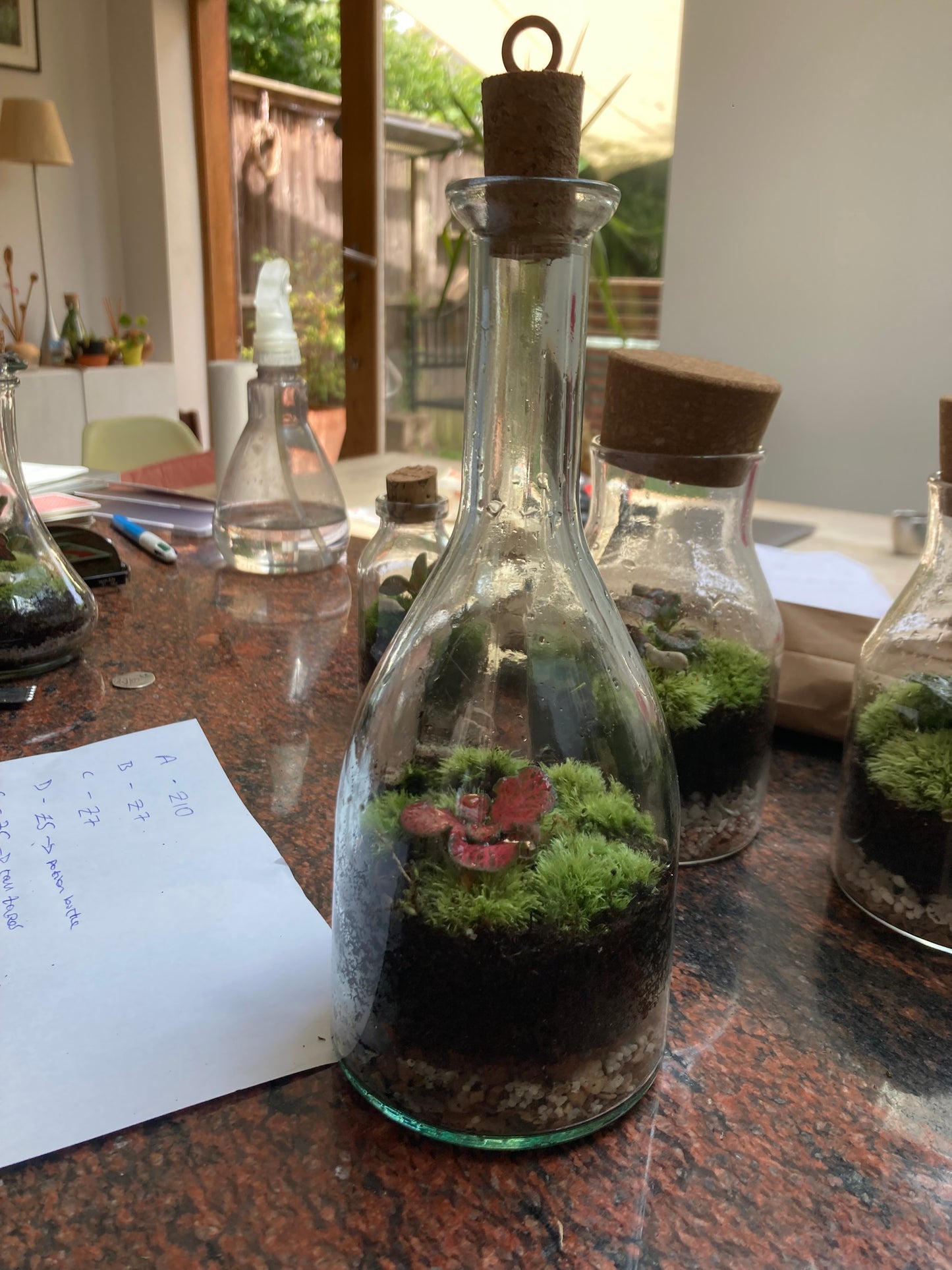 Terrarium Tall Bottle - G