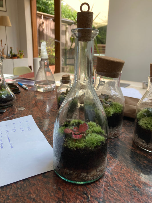 Terrarium Tall Bottle - G