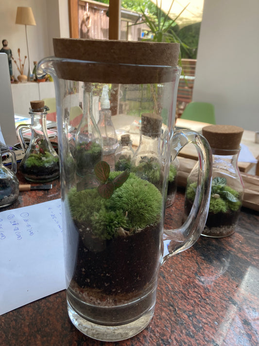 Terrarium Tall Jug Vase - H