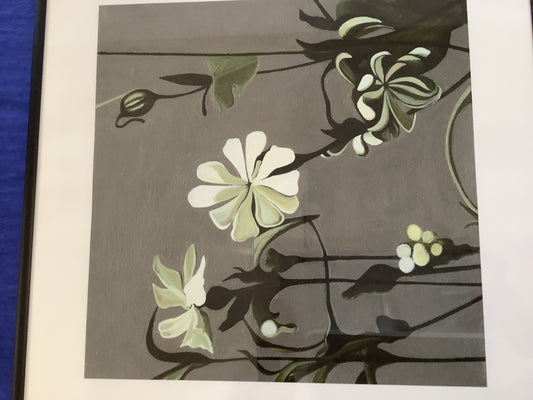 Julia Langley White Campion (framed)