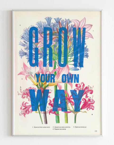 Nice and Graphic Botanical prints