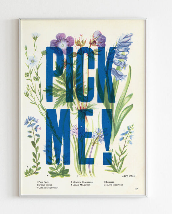 Nice and Graphic Botanical prints