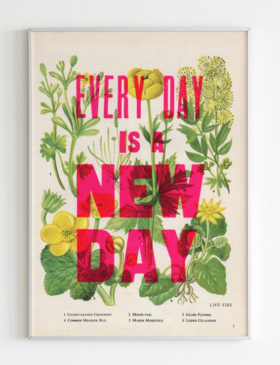 Nice and Graphic Botanical prints