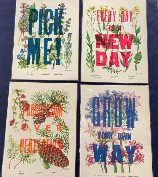 Nice and Graphic Botanical prints