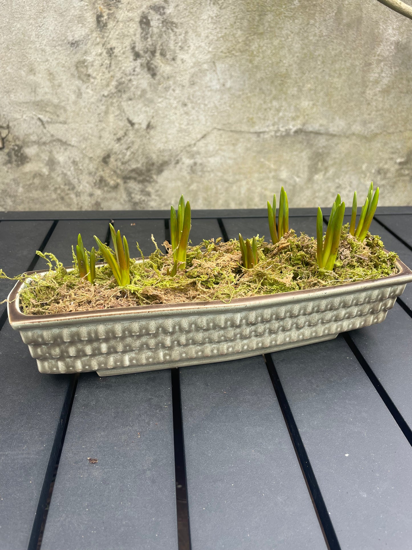 Vintage Mantle Vase Planter