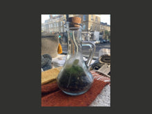Load image into Gallery viewer, Terrarium- Medium Potion Bottle 1
