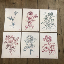 Load image into Gallery viewer, Atelier Auge Dahlia Botanical Print
