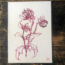 Load image into Gallery viewer, Atelier Auge Dahlia Botanical Print
