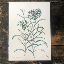 Load image into Gallery viewer, Atelier Auge Cornflower Botanical Print
