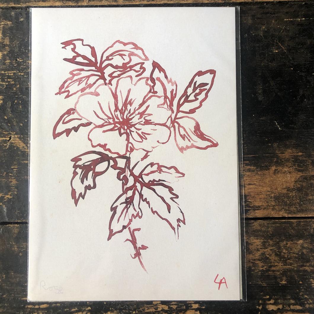 Atelier Auge Wild Rose Botanical Print