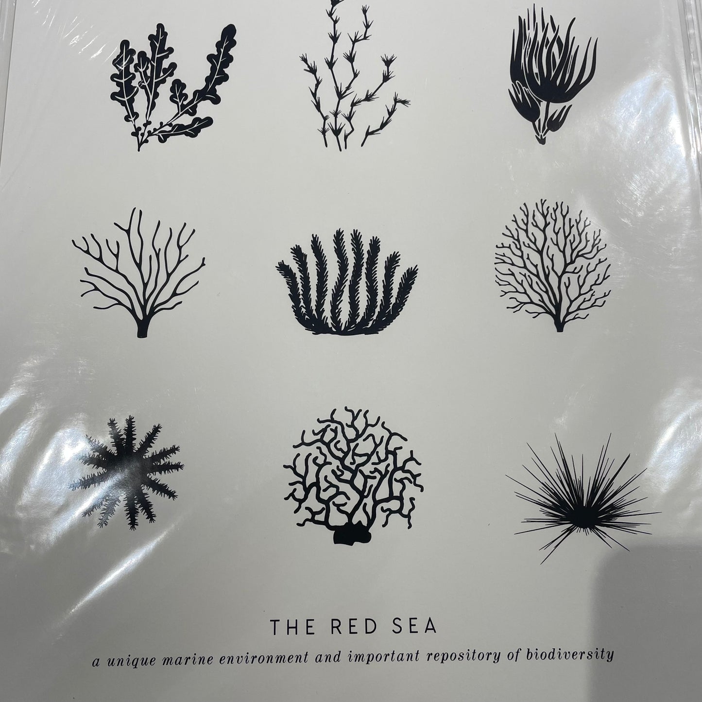 Artcadia Red Sea Screenprint