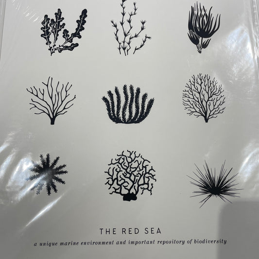 Artcadia Red Sea Screenprint